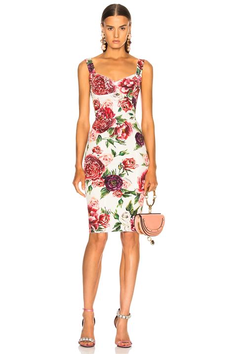 dolce gabbana peony dress|dolce peony sephora.